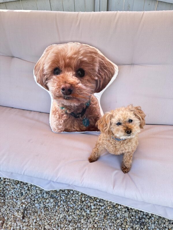 Custom Shape Pet Pillow - Image 5
