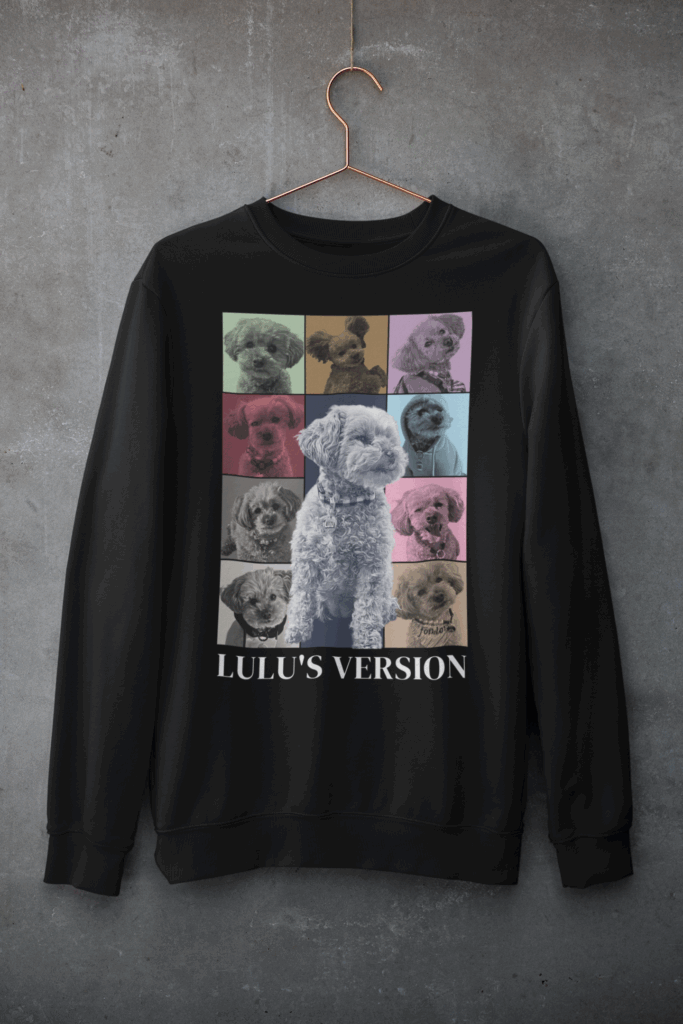 mockup-of-a-customizable-crewneck-sweatshirt-hanging-against-a-concrete-wall-33997 (1)